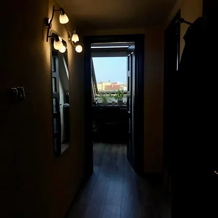 Cosy Rooftop In Center 索菲亞