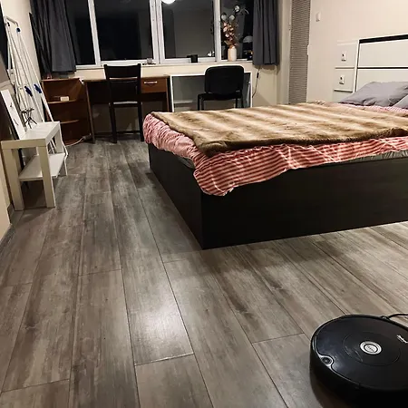 Cosy Rooftop In Center * 索菲亞