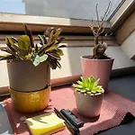 Cosy Rooftop In Center 公寓