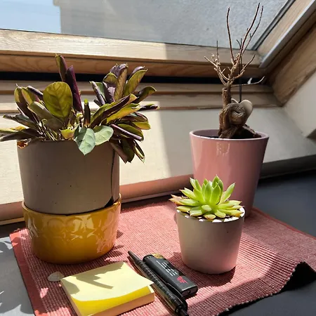 Cosy Rooftop In Center Апартамент